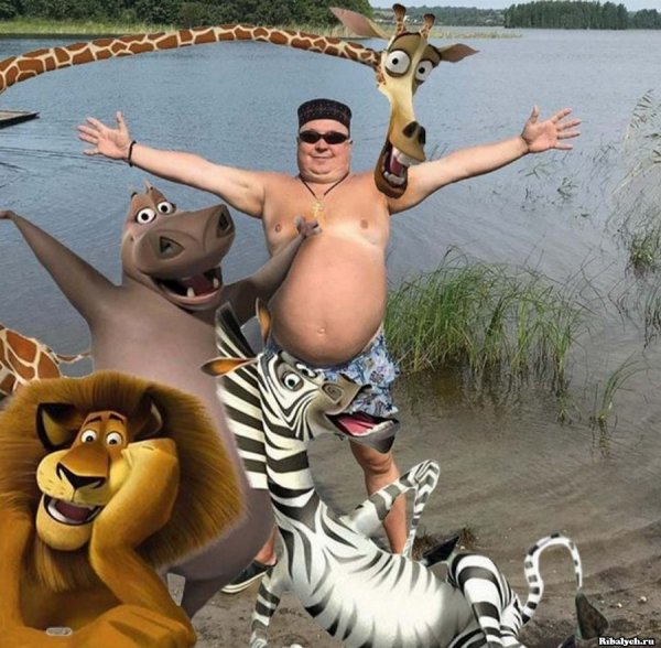 Весёлые картинки для поднятия