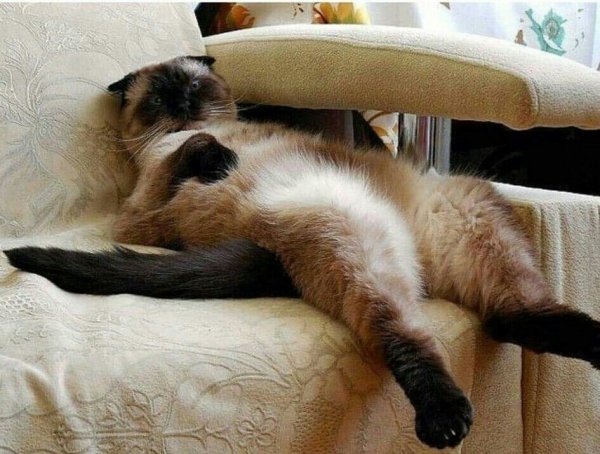 С добрым утром для поднятия настроения