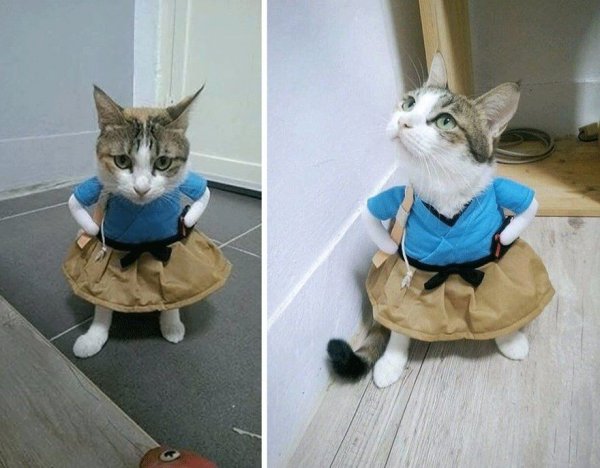 Смешная картинка для поднятия настроения