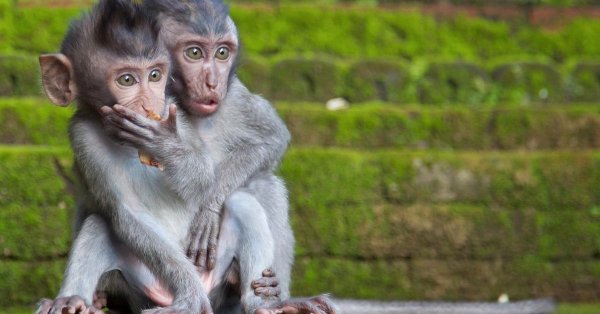 Позитив для поднятия настроения мужчине