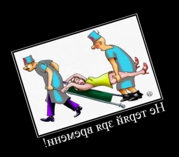 Веселые картинки для поднятия духа