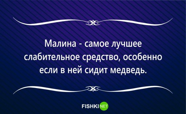 Весёлые высказывания для поднятия настроени