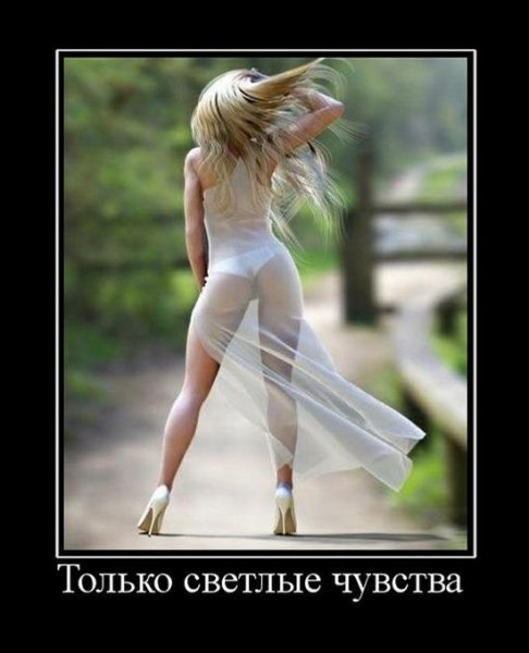 Юмор для женщин для поднятия настроения