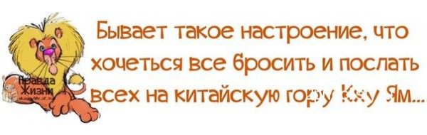 Позитивные фразы для поднятия настроения