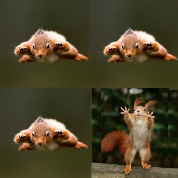 Забавные картинки для поднятия настроения