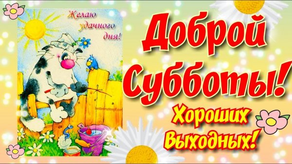 Хорошей субботы и отличного настроения