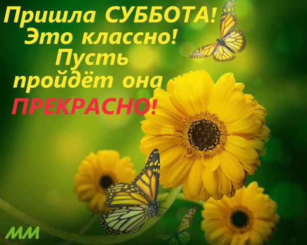 Доброе утро субботы