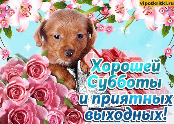 Суббота открытки красивые