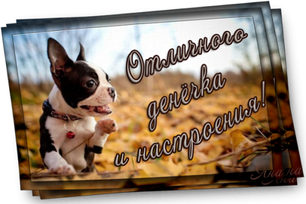 Отличного субботнего денечка и отличного настроения