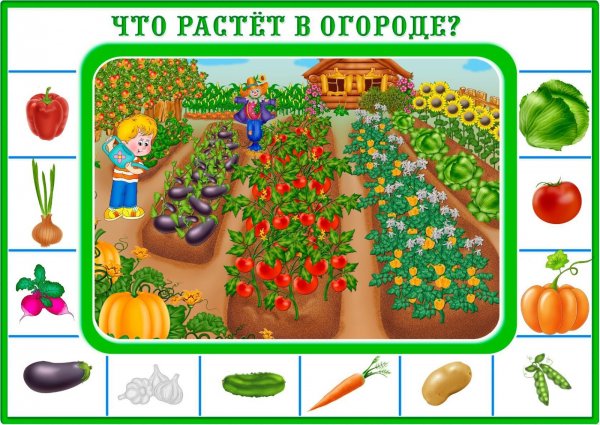 Веселый огород