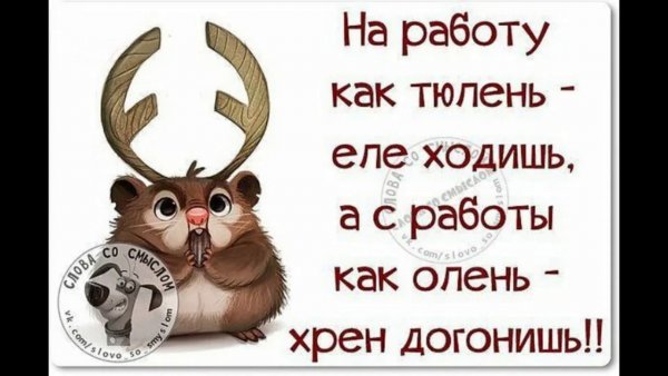 Цитаты про работу смешные