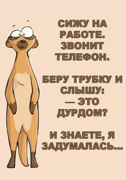 Смешные фразы про работу