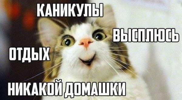 Ура каникулы приколы