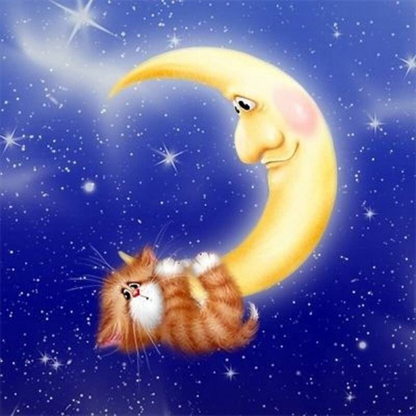 Спокойной ночи кот