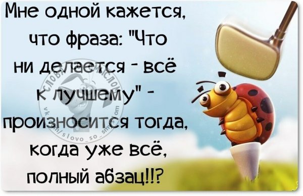 Прикольные статусы про жизнь