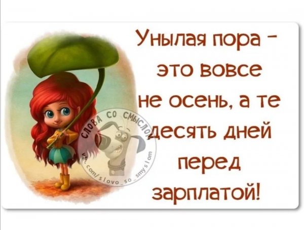 Цитаты с юмором и смыслом