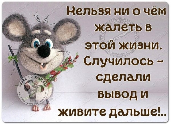 Смешные цитаты со смыслом жизнь прекрасна