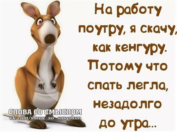 Смешные статусы про жизнь