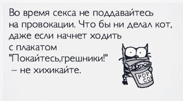 Провокация цитаты
