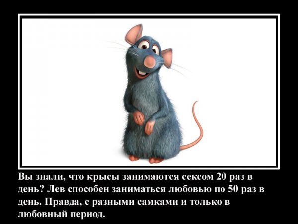 Интересные факты осексе