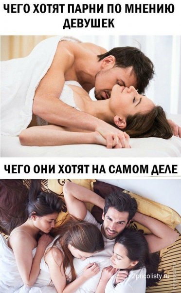 Мемы с надписями