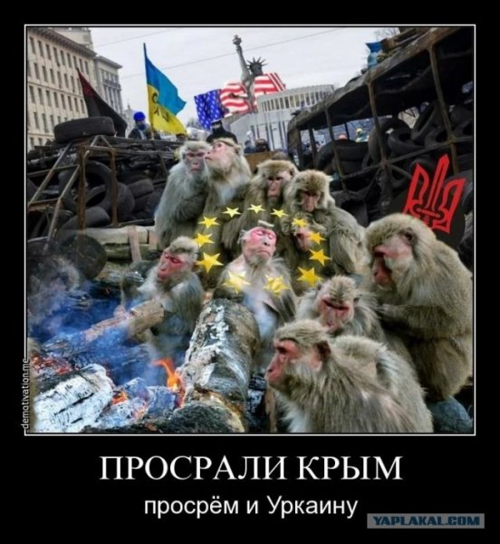 Демотиваторы про майдаунов