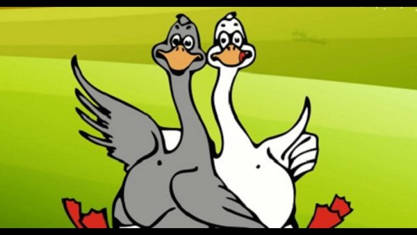 Жили у бабуси два веселых гуся рисунок