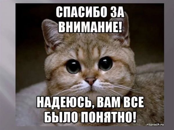 Спасибо за внимание надеюсь вам было понятно