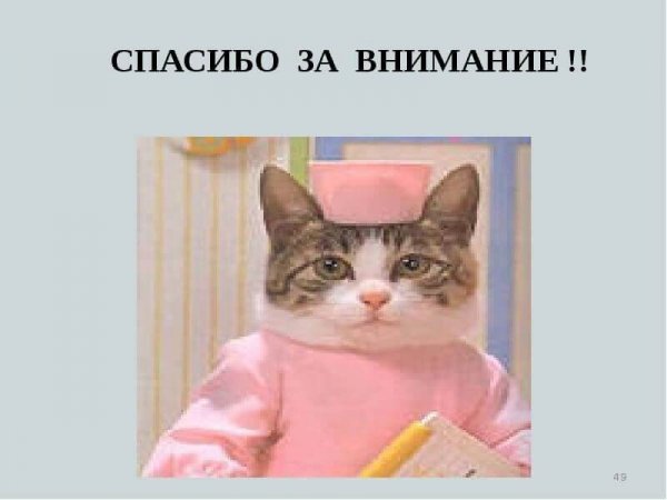 Спасибо за внимание гот