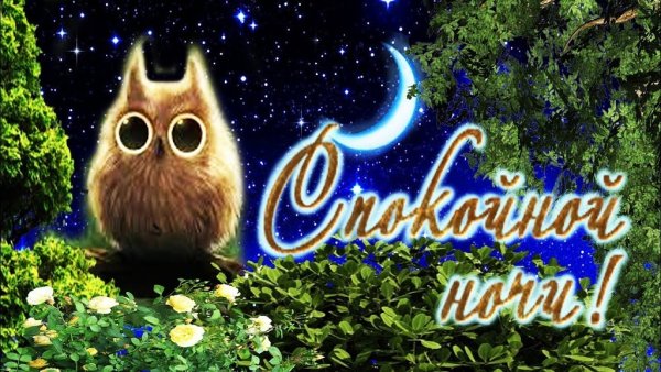 Спокойной ночи