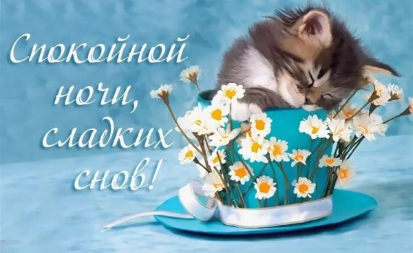 Спокойной весенней ночи сладких снов