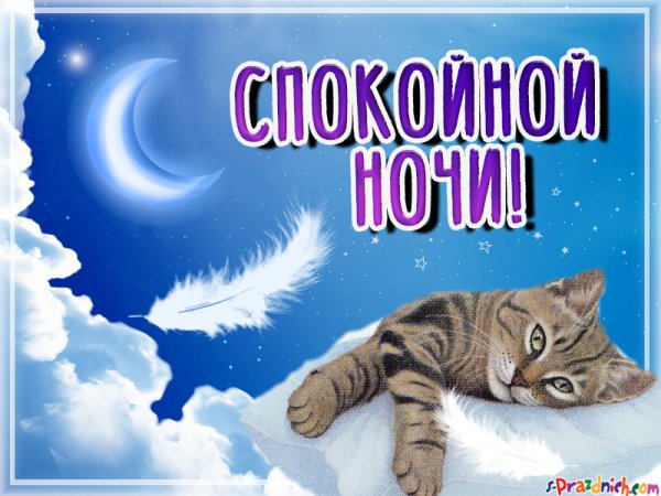 Открытка споки ночи