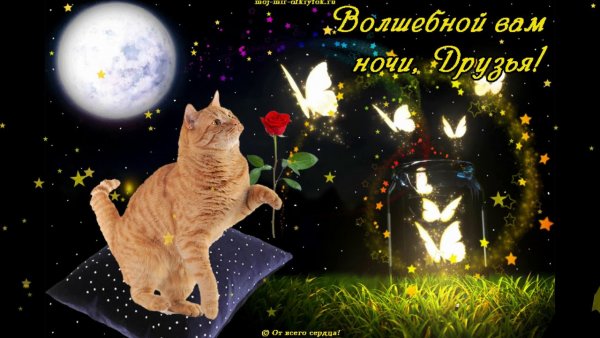 Волшебной ночи пожелания