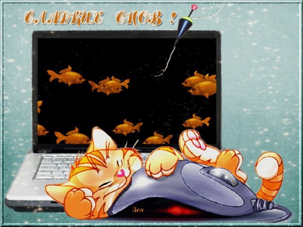 Спокойной ночи осенью