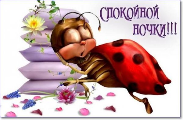Спокойной ночи Пчелка