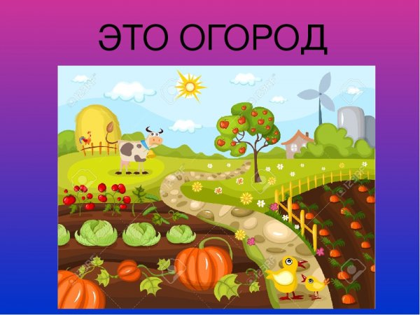 Веселые овощи