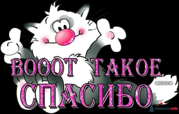 Огромное спасибо