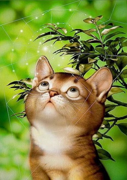 Коты Макото Мурамацу