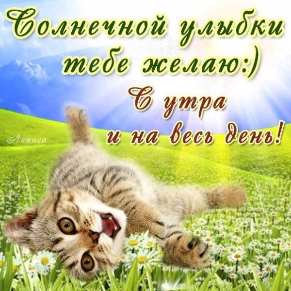 Открытки с добрым утром прикольные