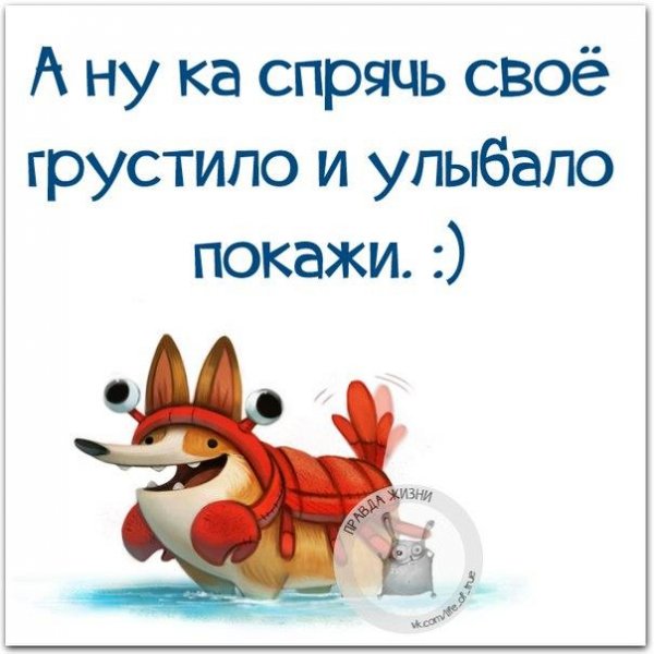 Смешные открытки для поднятия настроения