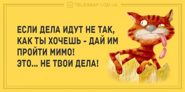 Утренние приколы для поднятия настроения