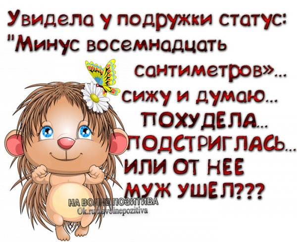 Веселые статусы