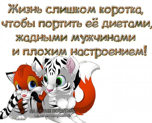 Веселые статусы