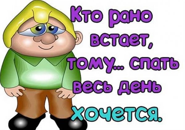 Статусы смешные и прикольные в картинках