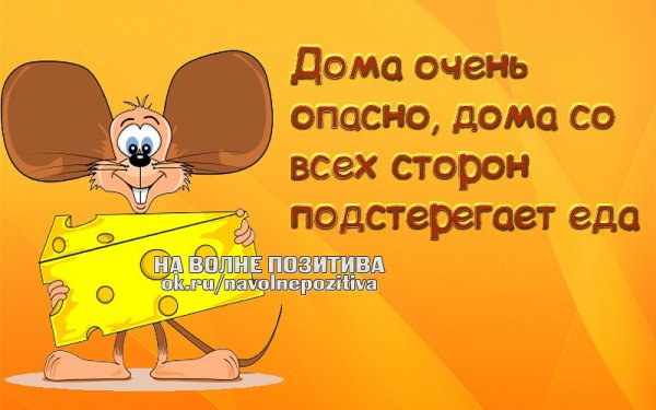 Весёлые статусы в картинках