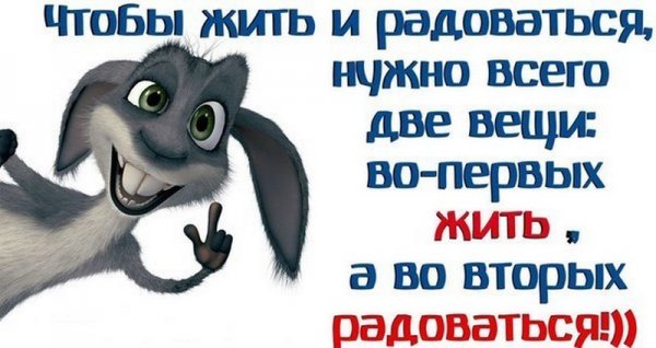 Веселые статусы