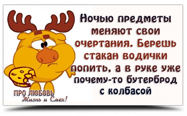 Смешные статусы про жизнь