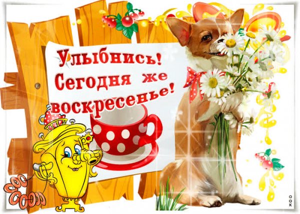 С добрым воскресным утром
