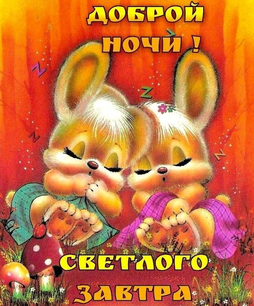 Спокойной ночи прикольные