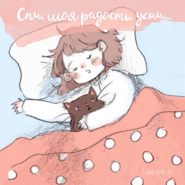 Прикольные пожелания спокойной ночи